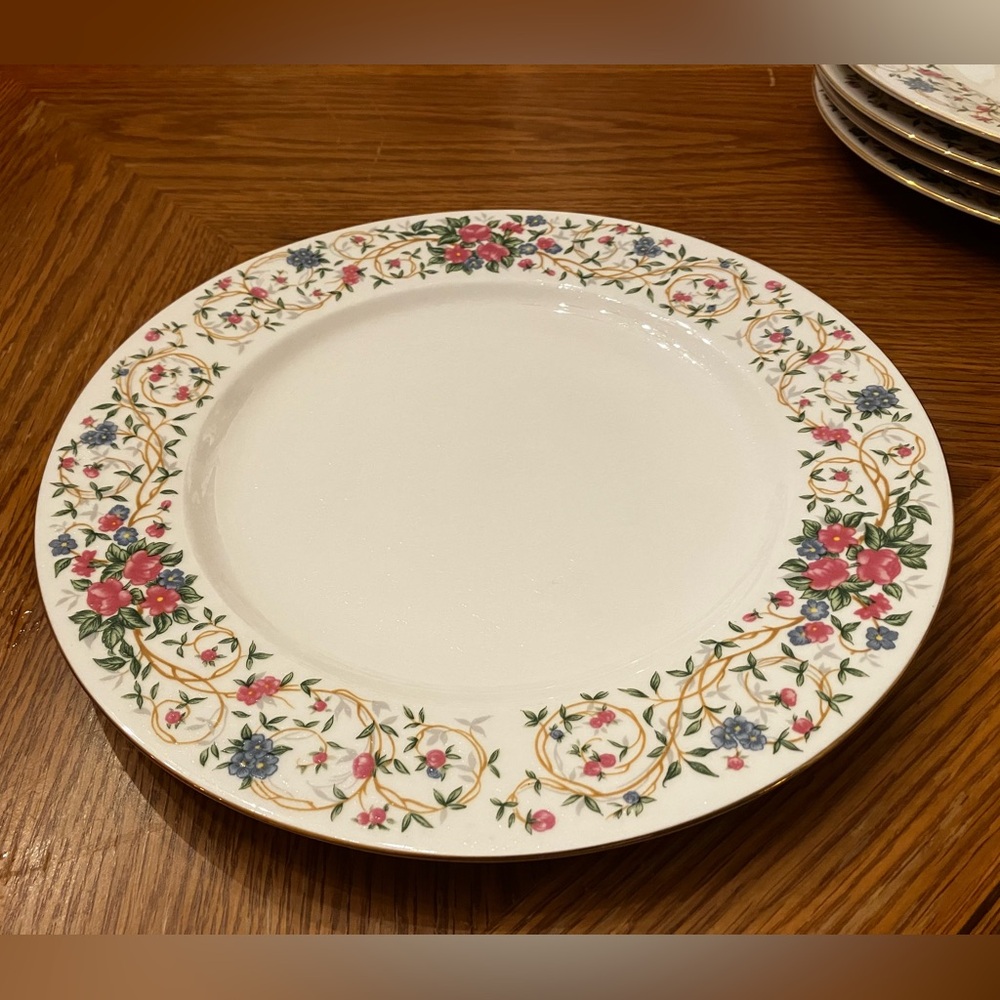 Monaco 10 1/2” Farberware Fine China Dinner Plate 5 Set 1997